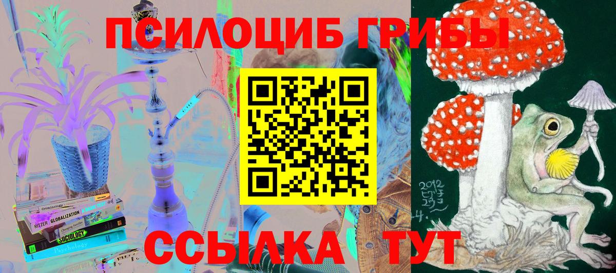 наркошоп  Галлюциногенные грибы Psilocybine cubensis  Протвино  Вход с VPN  Псилоцибиновые грибы MAGIC MUSHROOMS 