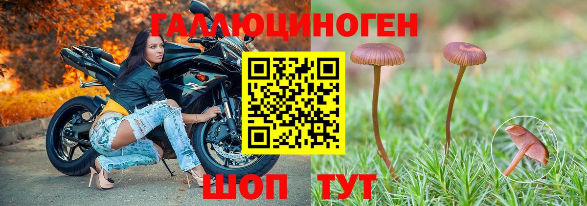 Псилоцибиновые грибы мицелий Протвино